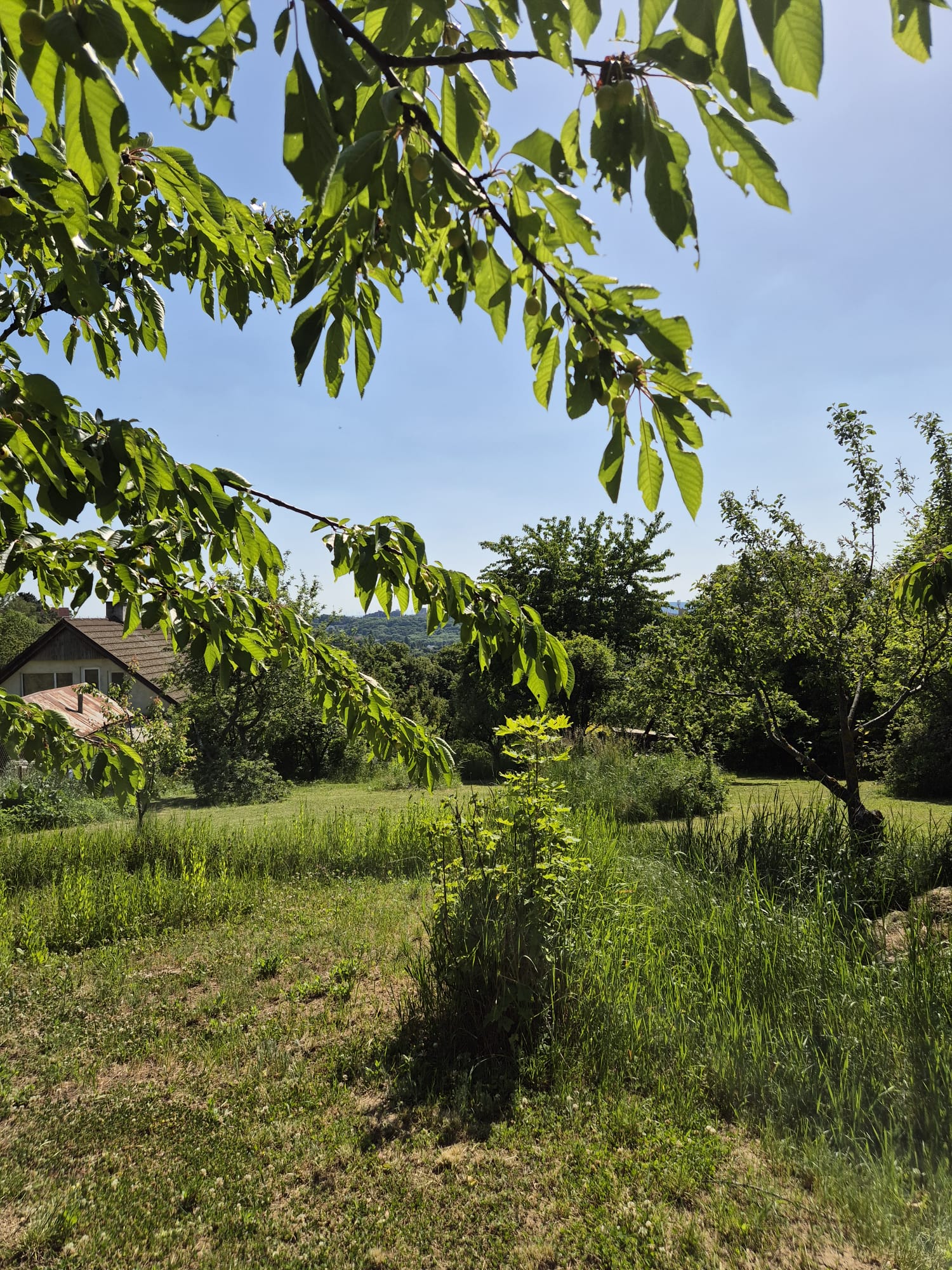 Stavebný pozemok 1018 m² na Kolibe — fotografia 7