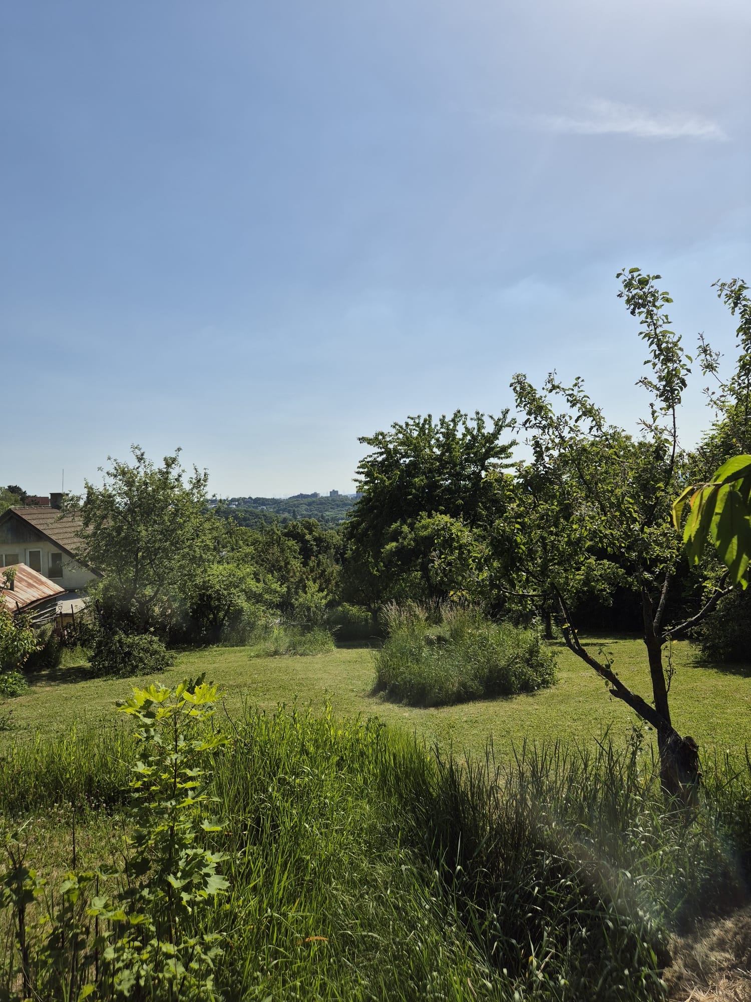 Stavebný pozemok 1018 m² na Kolibe — fotografia 6