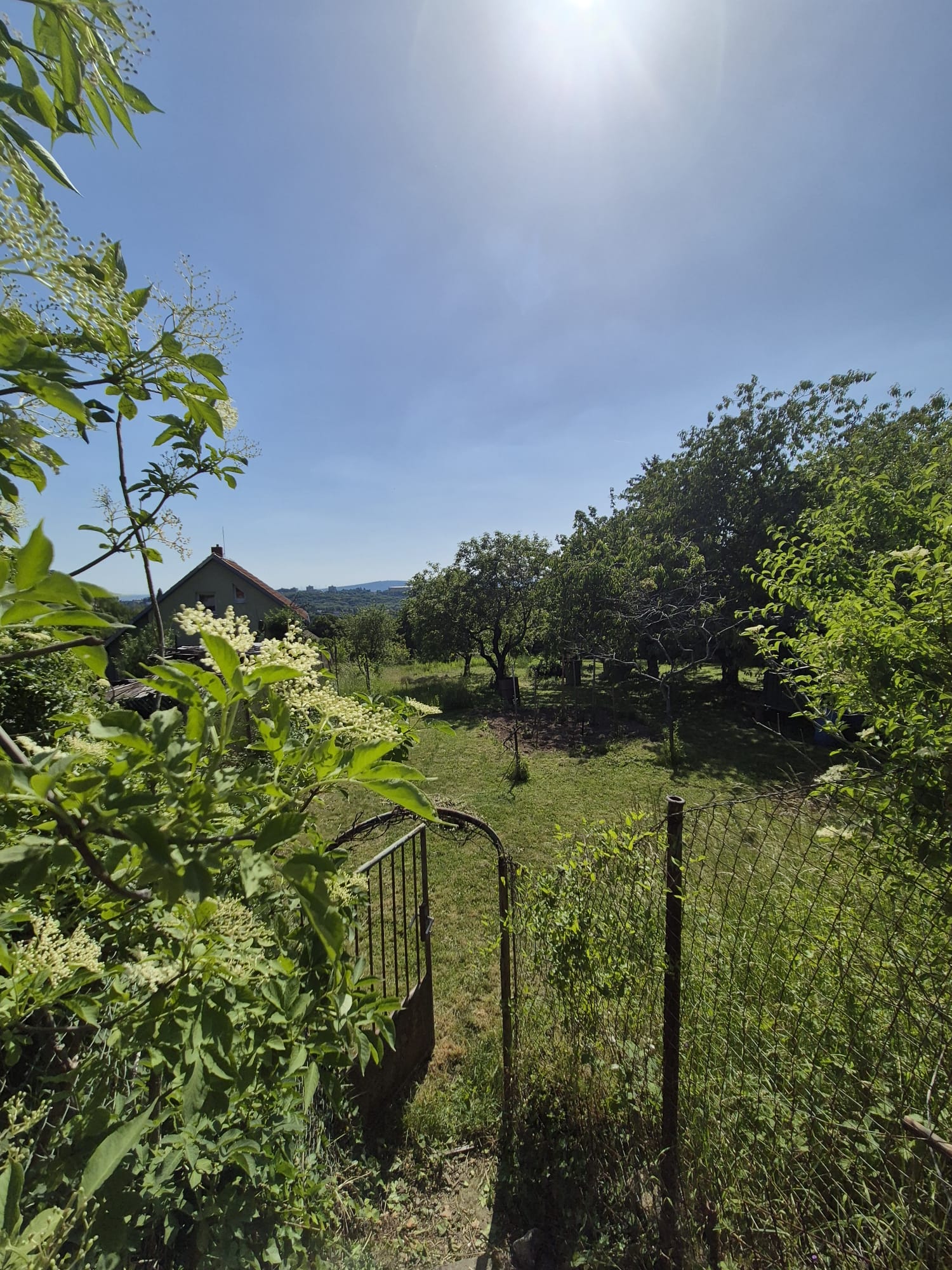 Stavebný pozemok 1018 m² na Kolibe — fotografia 8