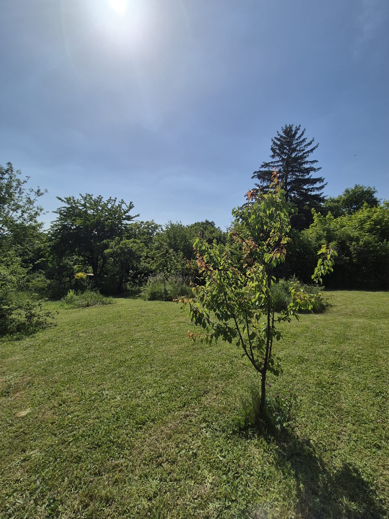 Stavebný pozemok 1018 m² na Kolibe — fotografia 3