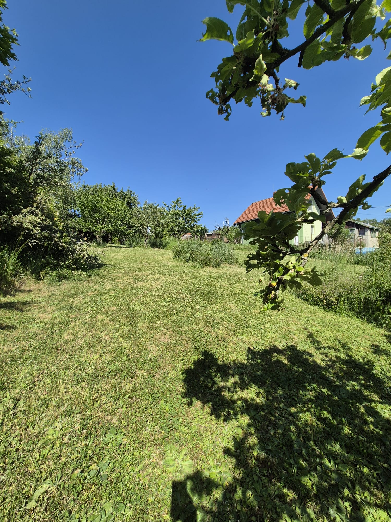 Stavebný pozemok 1018 m² na Kolibe — fotografia 9