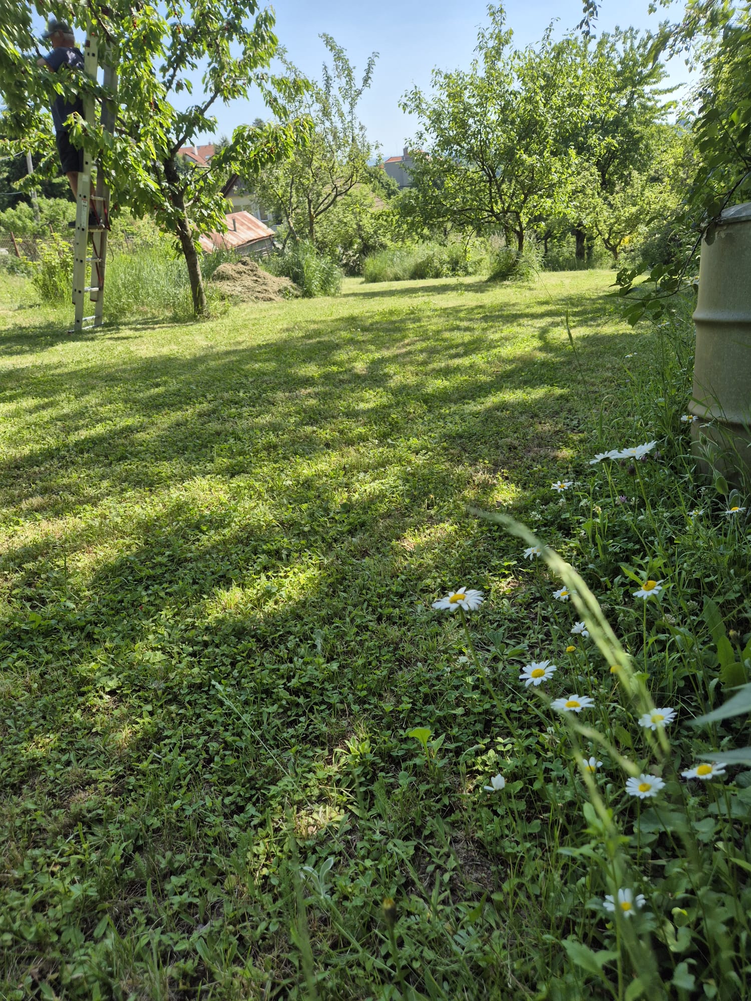 Stavebný pozemok 1018 m² na Kolibe — fotografia 11