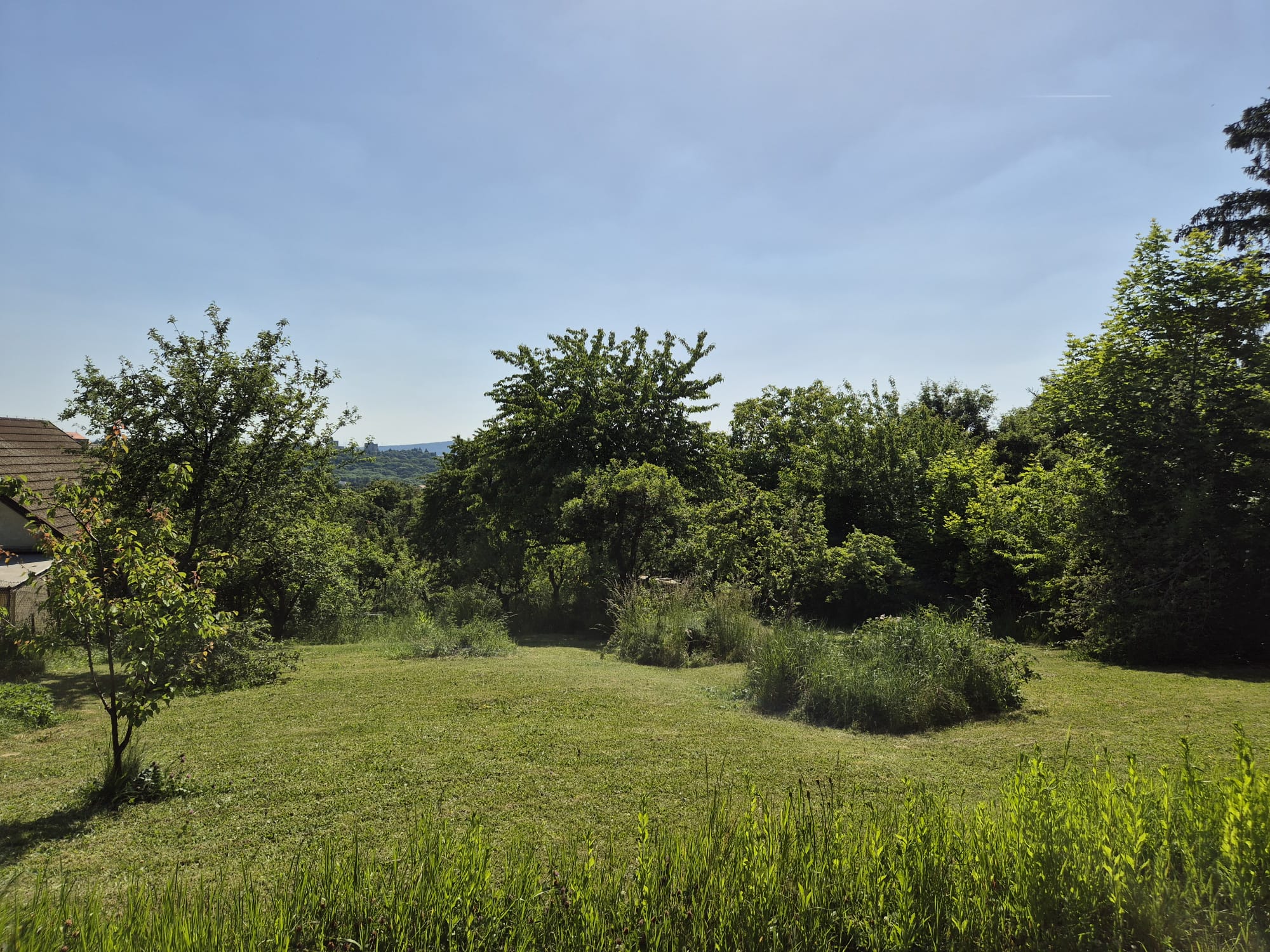 Stavebný pozemok 1018 m² na Kolibe — fotografia 5