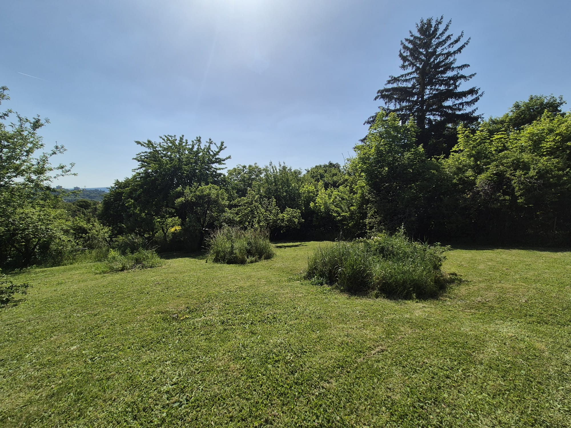 Stavebný pozemok 1018 m² na Kolibe — fotografia 4